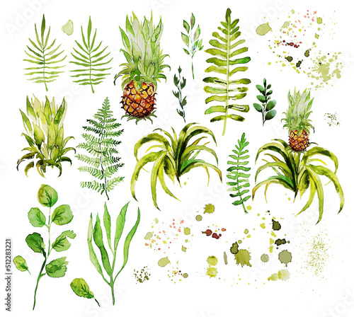 Set of green watercolor leaves, twigs and pineapple. Vector illustration