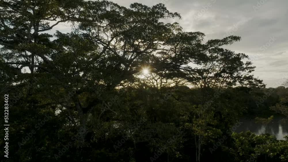 Sunset Scenery At Amazon River In Ecuador - aerial drone shot Sunset Scenery At Amazon River In Ecuador - aerial drone shot