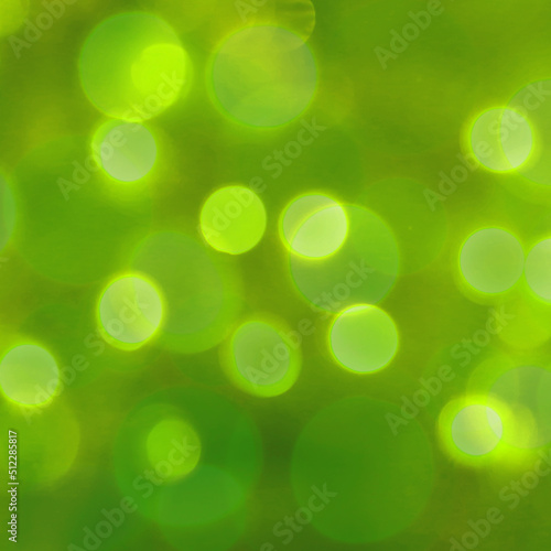 natural green background bokeh lights