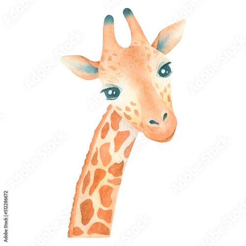 Watercolor cute funny giraffe isolated on white background wild animal hand drawn illustration