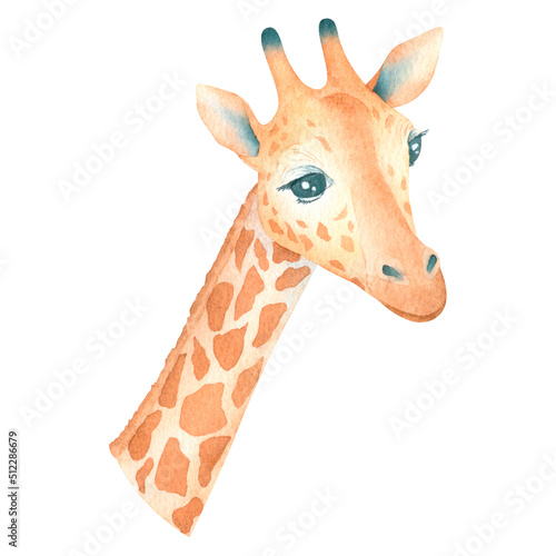 Watercolor cute giraffe isolated on white background african animal hand drawn illustration