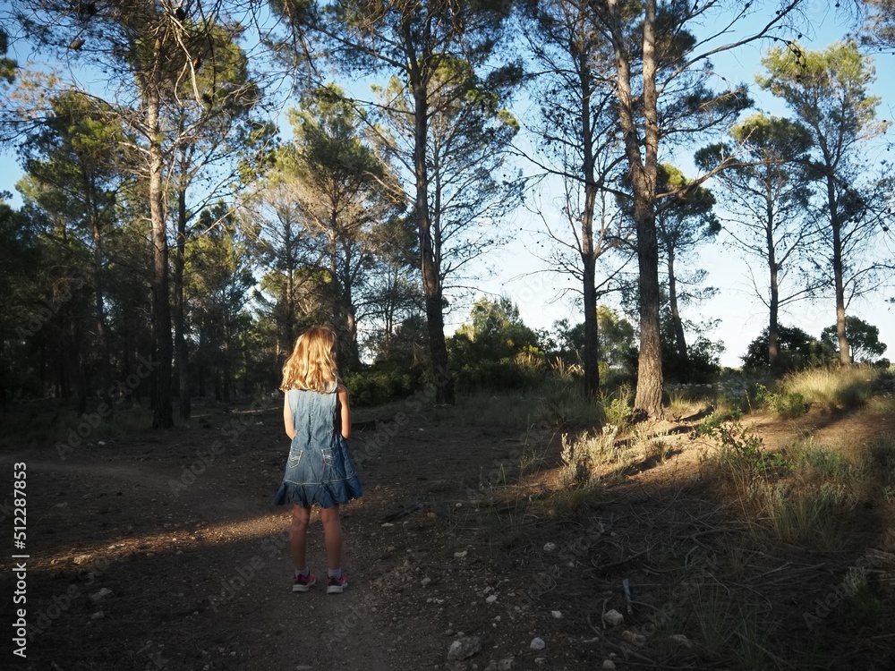 Niña en bosque esperando sola y mirando rayos de luz al atardecer Niña en bosque esperando sola y mirando rayos de luz al atardecer