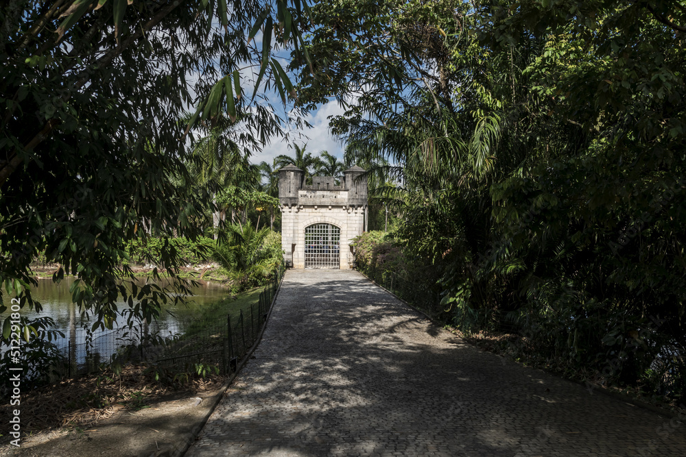 path in the park