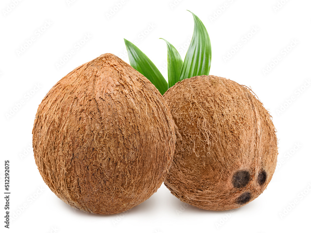 Two delicious coconuts, isolated on white background Two delicious coconuts, isolated on white background