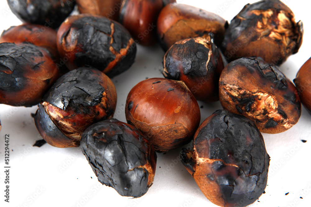 chestnut chestnut