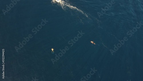 Dolphins, tourtle and boat on the ocean photo