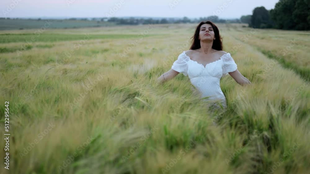 Stunning brunette woman walking down in the wheat field enjoying freedom. Young beautiful brunette woman in a white dress in field. Stunning brunette woman walking down in the wheat field enjoying freedom. Young beautiful brunette woman in a white dress in field.