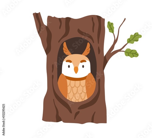 Cute owl sitting inside hollow in tree trunk. Forest bird in hole house in wo...