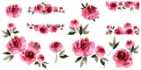 Watercolor hand painted floral set. Pink peonies. High quality illustration