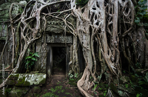Tree roots cover the entrance door at Ta Prohm Temple, Siem Reap, Cambodia.