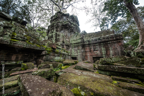 Ta Prohm Temple also has sandstone stones of fallen buildings that have not been restored  Siem Reap  Cambodia.