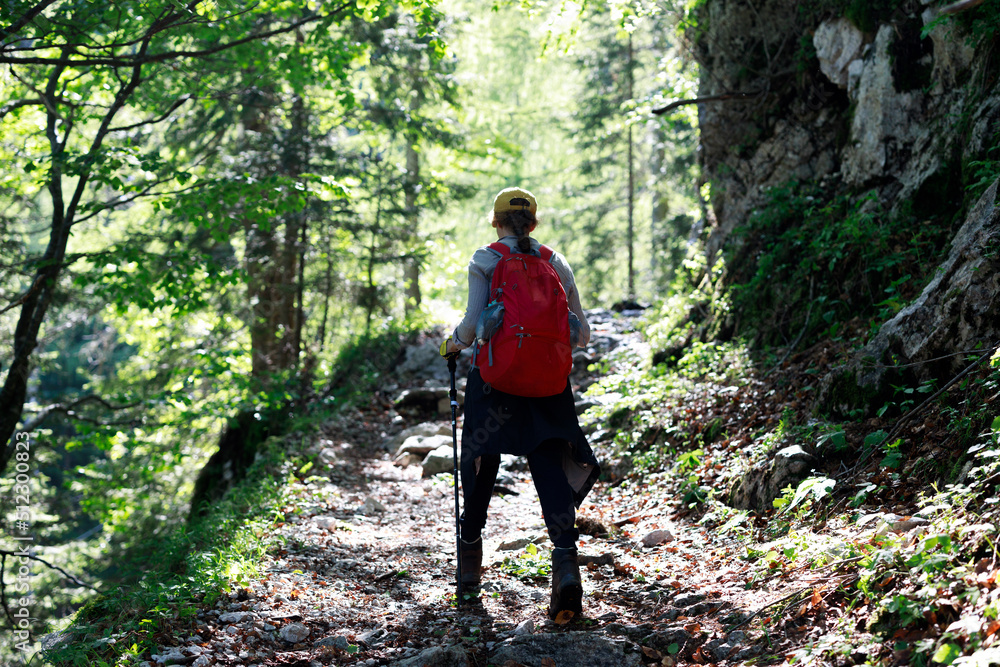 Female Backpack Hiker Climbing Up an Alpine Trail in Summer Morning Sun