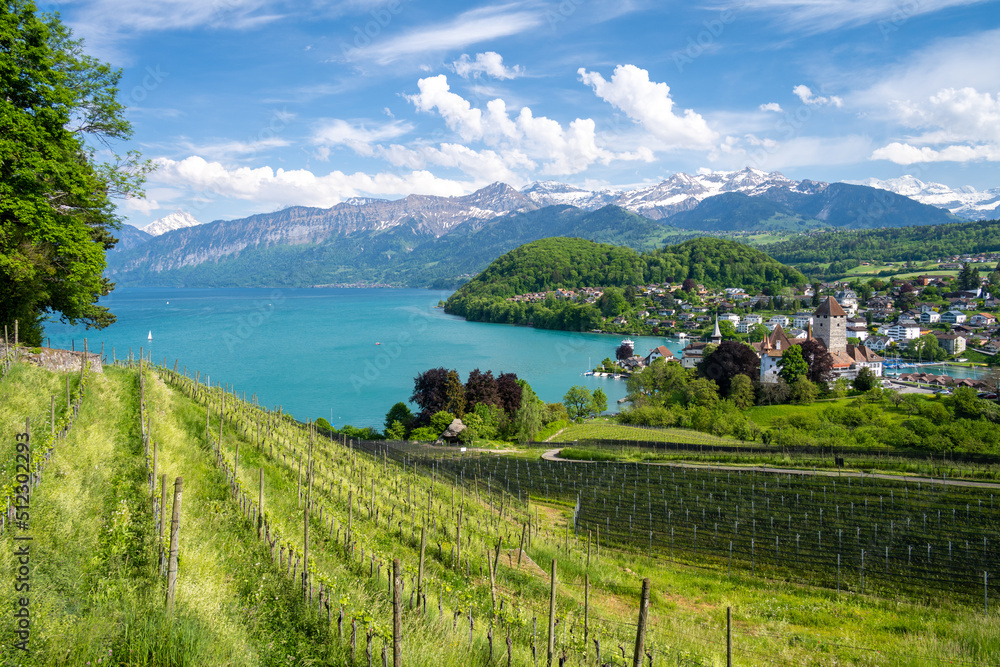 beautiful view on Spiez town on lake Thun in Switzerland