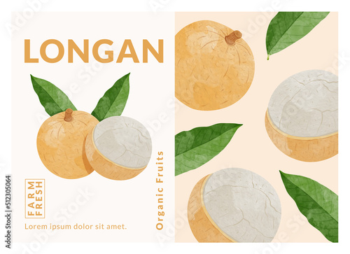 Longan Fruit packaging design templates, watercolour style vector illustration. photo