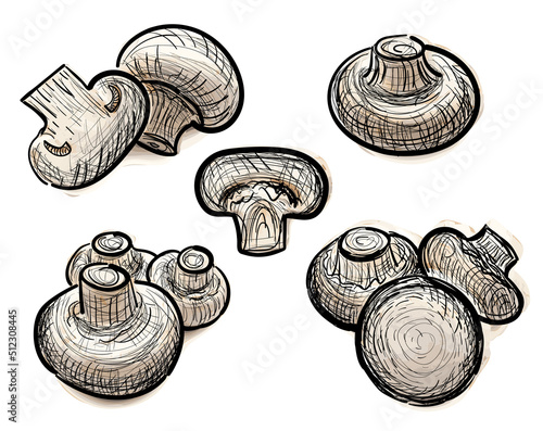 Hand Drawn Sketchy Champignons