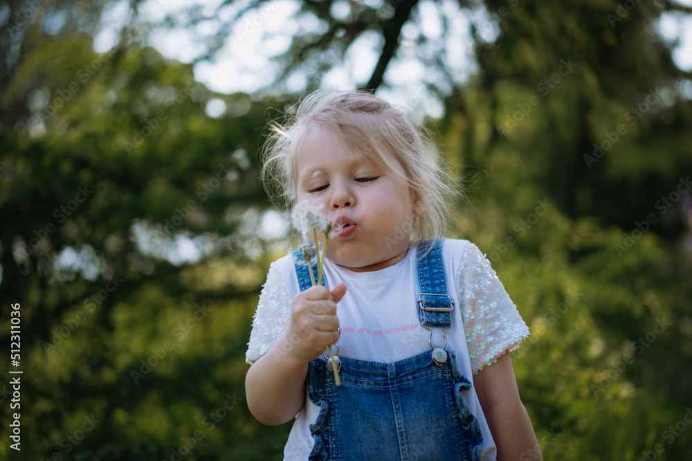 Pretty little girl blowing off dandelion seeds on sunset in summer park. Image with selective focus Pretty little girl blowing off dandelion seeds on sunset in summer park. Image with selective focus