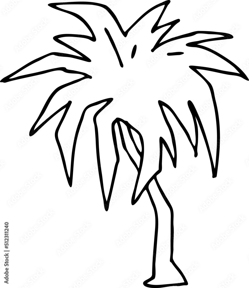 Palm tree with green leaves. Exotic tropical jungle hot summer holiday, Travel outdoor to south in nature forest to spa relax. Hand drawn retro vintage vector illustration. Old style cartoon drawing. Palm tree with green leaves. Exotic tropical jungle hot summer holiday, Travel outdoor to south in nature forest to spa relax. Hand drawn retro vintage vector illustration. Old style cartoon drawing.