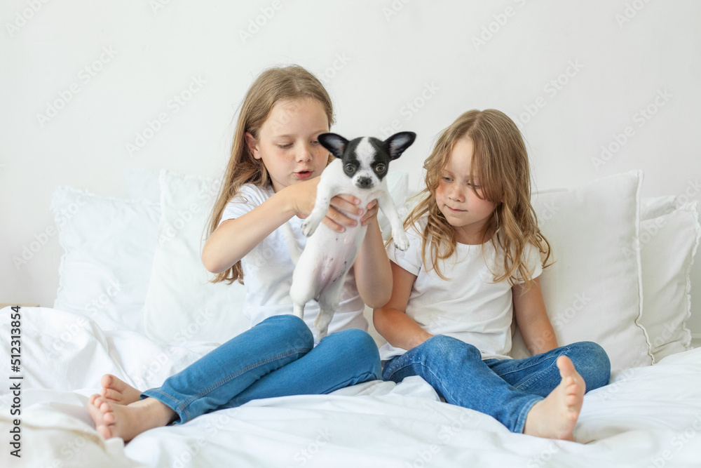 little sisters with puppy dog pet playing together at home little sisters with puppy dog pet playing together at home
