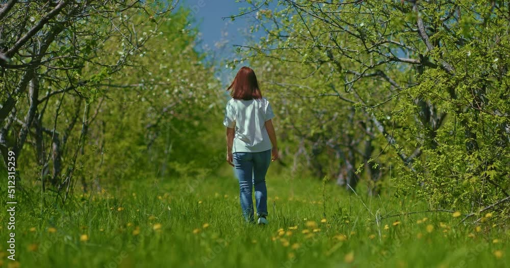 young woman is strolling in blooming garden in early springtime, rear view, 4K, Prores young woman is strolling in blooming garden in early springtime, rear view, 4K, Prores