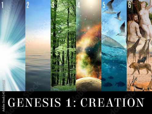 Canvas Print Genesis 1 Creation