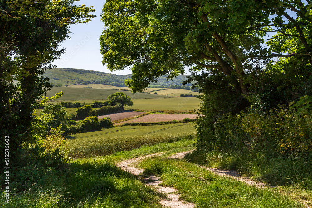 A rural South Downs landscape on a sunny summers day