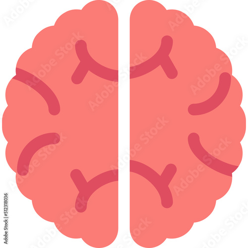 Brain Icon