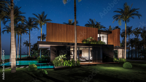 3d rendering of modern cozy house with parking and pool for sale or rent with wood plank facade by the sea or ocean. Starlight night by the azure coast with palm trees and flowers in tropical island