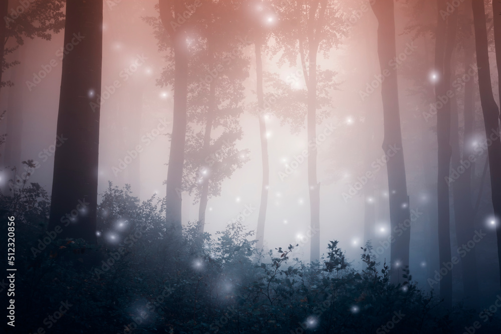 Fototapeta premium magic sparkles in fantasy forest with fog