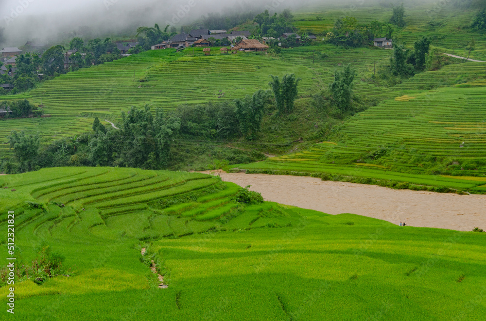 Vietnam Vietnam