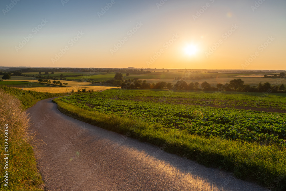 Fototapeta premium A golden sunset over the rolling hills of south Limburg in the Netherlands creating holiday vibes. The views and the warm glow over the landscape create a feeling of being in the Mediterranean.