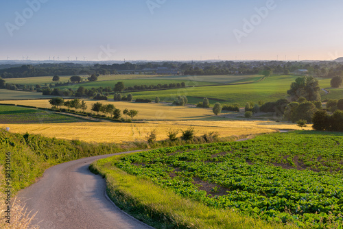 A golden sunset over the rolling hills of south Limburg in the Netherlands creating holiday vibes. The views and the warm glow over the landscape create a feeling of being in the Mediterranean.