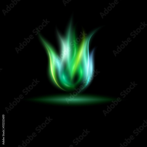 Fire flames on a black background.