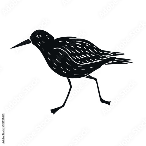 Vector hand drawn doodle sketch black sandpiper bird isolated on white background photo
