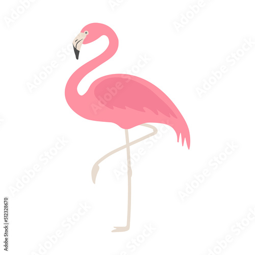 Vector flat flamingo isolated on white background