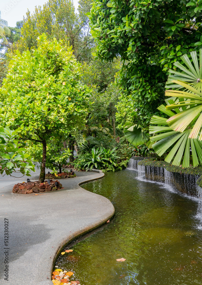 Obraz premium Singapore botanical garden orchids palms