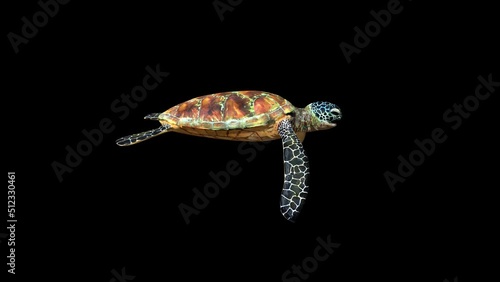 4K Green Ocean Turtle animation.3840×2160.8 Second Long.Transparent Alpha video.LOOP.