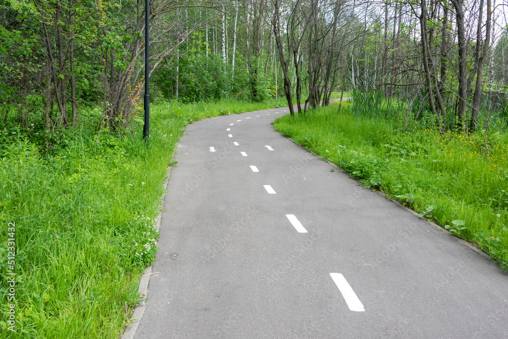 Asphalt cycle path with central markings and direction arrows in a public park. Asphalt cycle path with central markings and direction arrows in a public park.