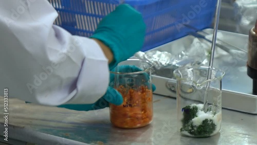 Researchers detect pesticide residues in vegetables in the lab