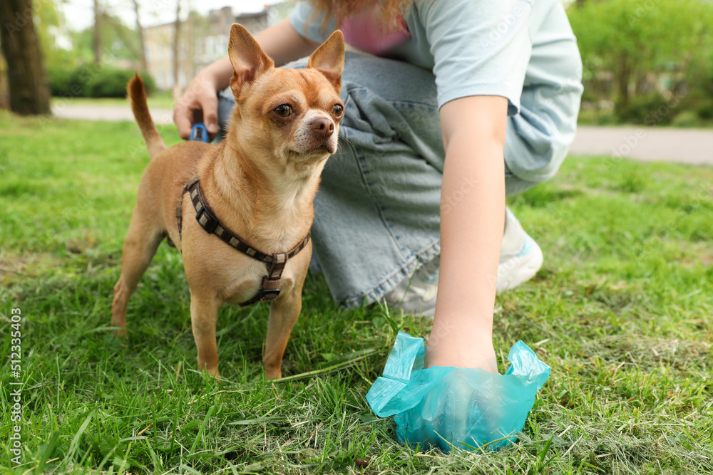 Woman picking up her dog's poop from green grass in park, closeup Woman picking up her dog's poop from green grass in park, closeup