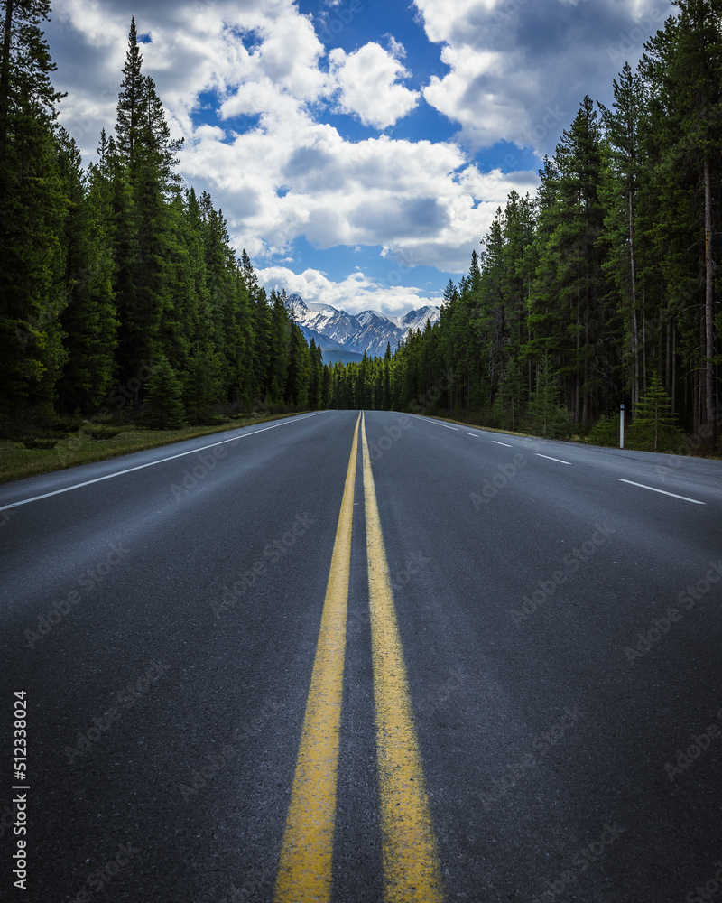 A roadway extends to the horizon with mountains in the distance and trees on both sides. A roadway extends to the horizon with mountains in the distance and trees on both sides.
