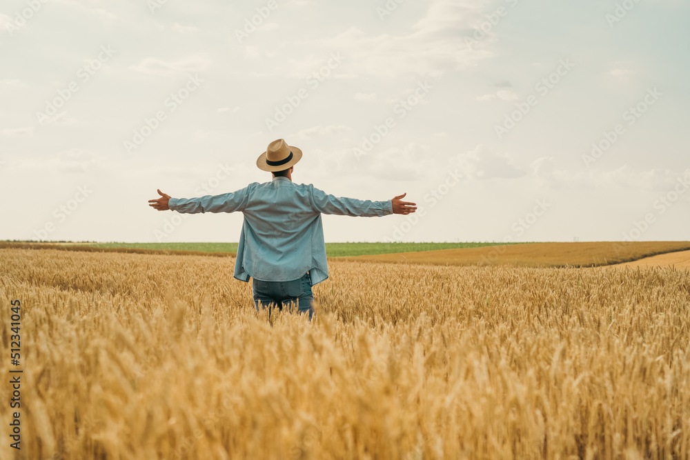 Happy farmer with arms outstretched standing in his growing wheat field. Happy farmer with arms outstretched standing in his growing wheat field.