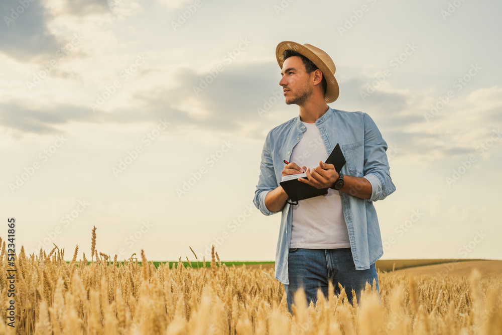 Farmer writing notes while standing in his growing wheat field. Farmer writing notes while standing in his growing wheat field.