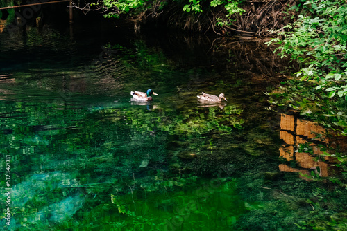 Blue Lake in Kazan. Ducks on the lake. Beautiful, pure azure water. Beautiful background.