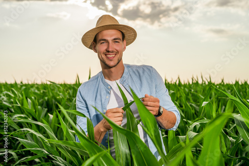 Happy farmer is standing in his growing corn field and examining crops .