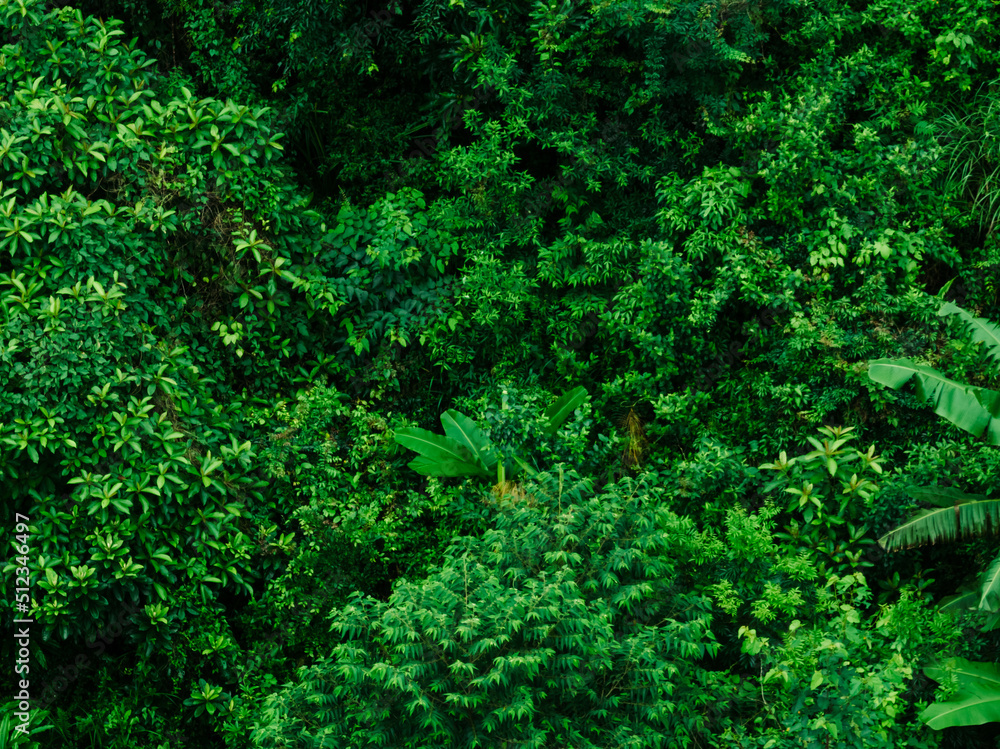 Aerial view of beautiful forest mountain landscape Aerial view of beautiful forest mountain landscape