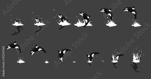 Animal Animation Orca Jumping Cartoon Vector