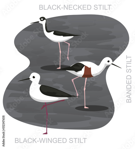 Cute Bird Stilt Set Cartoon Vector