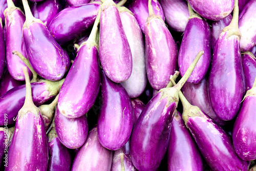 Brinjal Stock on Shop for sell