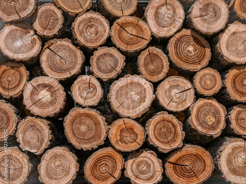 Logs stacked in rows. Beautiful texture of sawn logs.