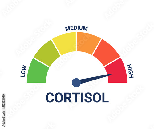 High cortisol hormone level on measuring scale, stress test. Control health, care and safe. Arrow on extreme level cortisol. Vector illustration